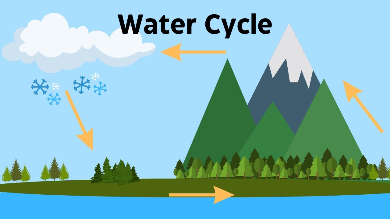 Hydrologic Cycle Diagram