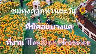 EP.24 ชมทุ่งดอกทานตะวัน🌻ที่ซีคอนบางแค#bangkok #travel #thailand