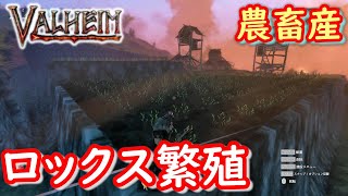 【VALHEIM/バルヘイム実況】ロックスの繁殖、タマネギ農場、オオカミ、イノシシのテイムと、農畜をしまくりました＃60