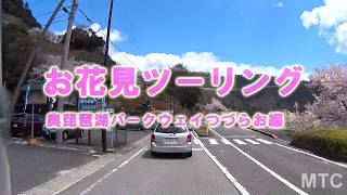 MTC 奥琵琶湖パークウェイお花見ツーリング 190415　＃奥琵琶湖パークウェイ桜