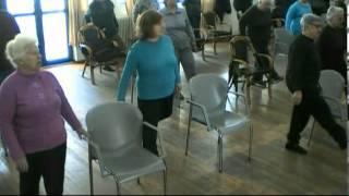 Seniors' Falls Prevention Exercise Program
