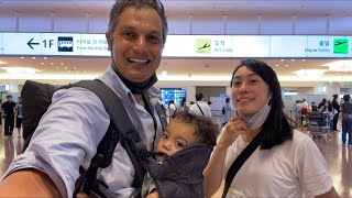 Japan Entry Procedure Explained | Travel Update