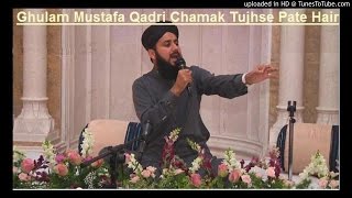 Ghulam Mustafa Qadri-Chamak Tujhse Pate Hain