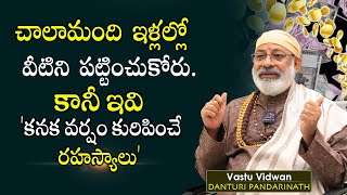 చాలామంది ఇళ్లల్లో వీటిని పట్టించుకోరు.కానీ ఇవి 'కనక వర్షం కురిపించే రహస్యాలు' Danturi Pandarinath