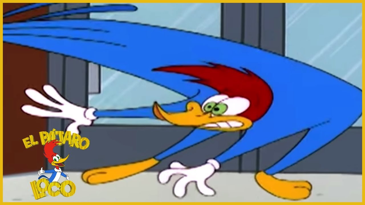 El Pajaro Loco En Español Súper Carpintero 1 Hora De Compilación