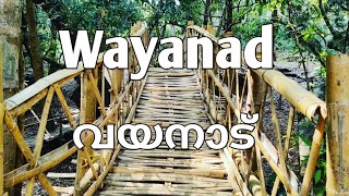 Top Places To Visit In Wayanad ll വയനാട്