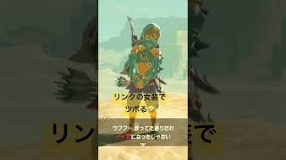 【＃ゼルダの伝説 ＃ブレスオブザワイルド 】リンクの女装でツボる🤣