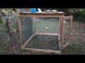 Game fowl pen ideas and upgrades.