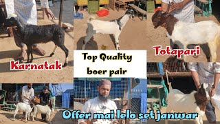 Quality wale Exotic animals available at AK goat farm  jeedimetla