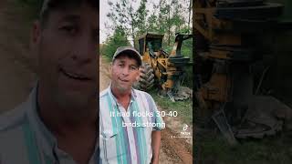 Turkey Population Decline In Southern Pine Forest Reason Explained
