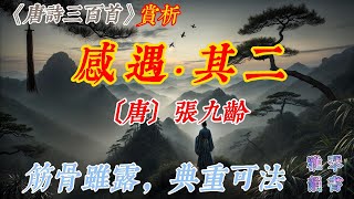 【古詩詞鑒賞】《唐詩三百首》| 張九齡 | 《感遇十二首·其二》 | 五言古詩 | Appreciation and Analysis of Chinese Poetry