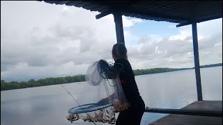 menjala di lagun pancing mengunakan magic fishing net||rambat buatan china