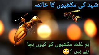 Bee extinction: Why we're saving the wrong bees? || Trending News || The Wolf