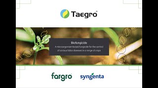 Taegro Biofungicide: a microorganism-based fungicide for the control of various foliar diseases