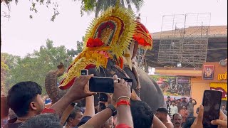 ലക്ഷക്കണക്കിന് ആളുകൾക്ക്‌ നടുവിൽ നൂറോളം ആനകൾ  Anayadi Pooram 2025 4K Edited | Gajamela | ആനയടി പൂരം