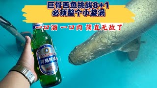 一口酒，一口肉简直无敌了