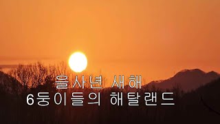 을사년 새해 해탈랜드 첫 나눔 행사