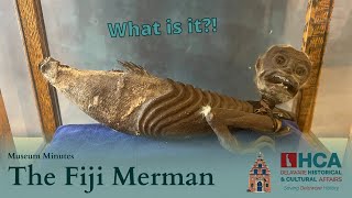 The Zwaanendael Fiji Merman