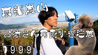 [vlog]京都嵐山モンキーパーク/かわいいお猿/渡月橋/絶景/おすすめ