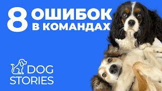 8 ошибок в командах 🐕 Какие ошибки допускают хозяева в обучении собак 🐩 Как щенка учить словам 🐾