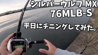 【釣りvlog】シルバーウルフMXで平日チニングしてみた。