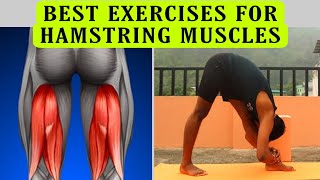 Hamstring Muscles Opening Practices/Forward Flexibility Training/Forward And Leg Muscles Exercises.