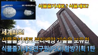 세계최초! 식물줄기세포 분리배양 기술을 보유한 ~  [식물줄기세포연구원 탐방기1편]