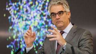 Connected: The Surprising Power of Our Social Networks and How They Shape Our Lives