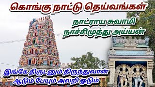 நாட்ராயன் கோயில், கொங்கு நாட்டு தெய்வங்கள், நாட்ராயன் நாச்சிமுத்து அய்யன், Natrayan Kovil