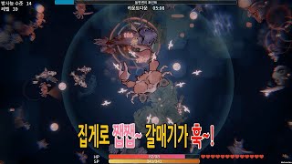 [Sea Of Radiation 2] 꽃게 등에 둥지트다