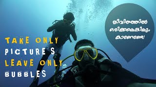 ഒരിക്കലെങ്കിലും ഇതൊക്കെ കാണണ്ടേ! | Maldives |Underwater | Scuba Diving | 4K | Djiosmoaction4