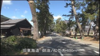 Ａ391改訂　旧東海道　御油宿から赤坂宿ウォーキング- 1＜ダイジェスト＞