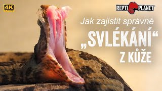 Jak zajistit správné \