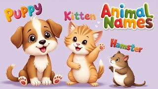 Learning animals' names (Puppy, Kitten, Hamster and more)|The Small and Cute Animal Song | ChaChafun