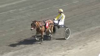 Ponnytrav Solänget 170513 Lopp 3