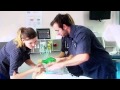 Bachelor of Nursing Trimester 2 intake TVC