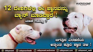 ಇದು ಜಗತ್ತಿನ ಎರಡನೆಯ ಅತ್ಯಂತ ಕ್ರೂರಿ ಶ್ವಾನ ತಳಿ ! | Second most Dangerous Dog Breed in the world!| Uv