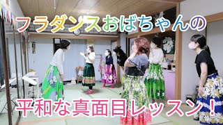 平和な真面目レッスン　新潟市ゆるゆるフラダンスサークル