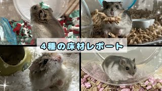 【ハムスター】4種の床材レポート