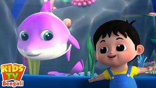 Baby Shark, বেবি হাঙ্গরের গান, Bēluna gāna, Kids Tv Bengali Rhymes Collection for Children