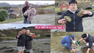 545.Một ngày bội thu cá hàm ếch. Hào đại dương siêu to khủng. Ốc gạo sò huyết thấy mê