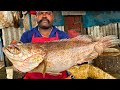 KASIMEDU 🔥 SPEED SELVAM | BIG BROWN GROUPER FISH CUTTING VIDEO | IN KASIMEDU | FF CUTTING 🔪