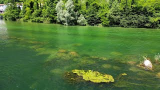 Cismon del Grappa fiume Brenta