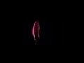 Lady Gaga -