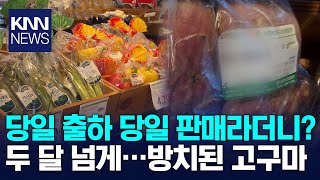 로컬푸드 매장에 출하 2달 지난 고구마가...'무너진 신뢰' / KNN