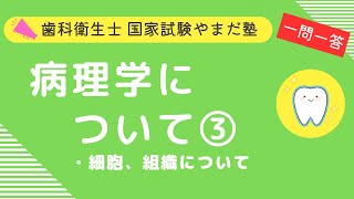 歯科衛生士の国家試験対策【病理学③】