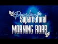 THE WEEK OF PROVOKING THE SUPERNATURAL || MORNING ROAR