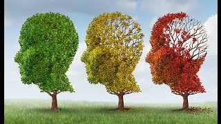 Alzheimer’s disease - The latest research and a search for a cure