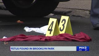 20-week-old human fetus found in a bag near Brooklyn park: police