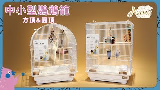 【進口鳥籠】AVIAN WORLD《 中小型鸚鵡籠(方頂\u0026圓頂籠) 》跟鳥寶多互動更親密｜大鸚帝國 ParrotEmpire